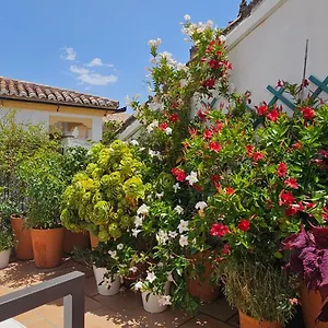 Apartamento Descalzos ángel, Ronda